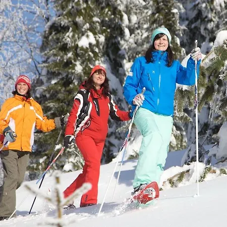 Hotel Ahorn Am Fichtelberg 3*