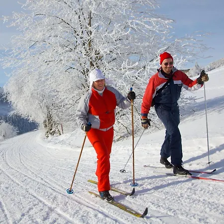 Ahorn Am Fichtelberg Oberwiesenthal