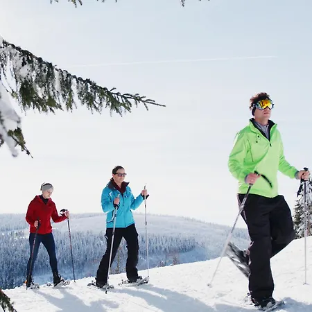 Ahorn Am Fichtelberg Hotel 3*