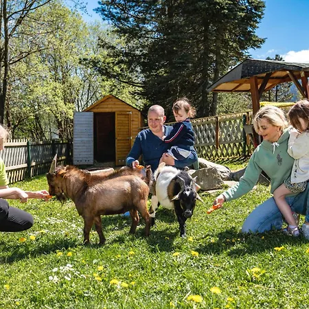 Ahorn Am Fichtelberg 3* אוברוויזנטל