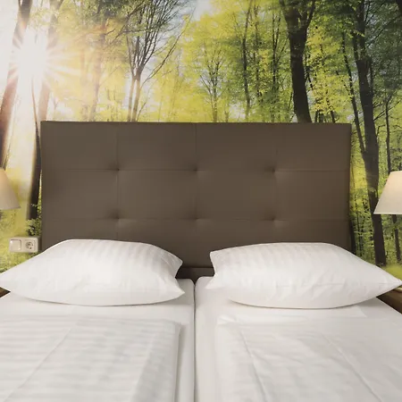 Ahorn Am Fichtelberg 3*