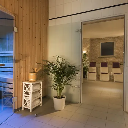 Ahorn Am Fichtelberg 3*