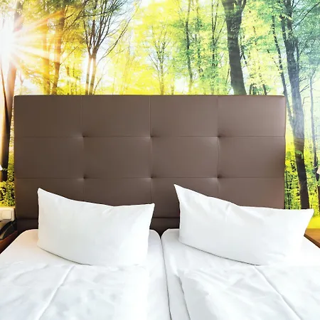 Ahorn Am Fichtelberg Oberwiesenthal