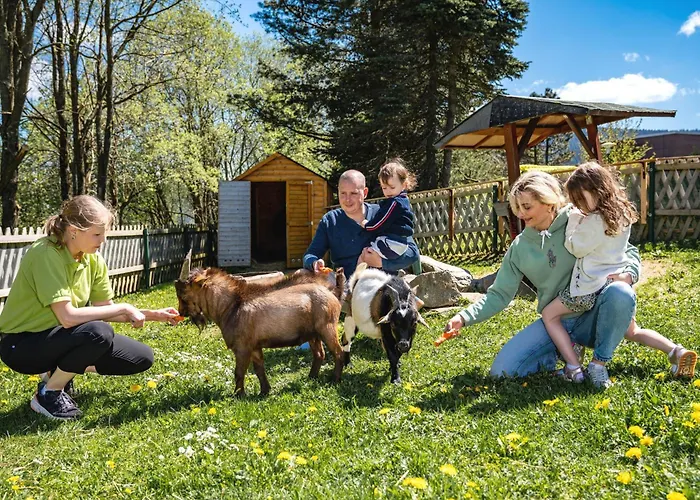 Ahorn Am Fichtelberg 3* Курорт Обервизенталь