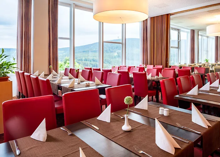 Ahorn Am Fichtelberg