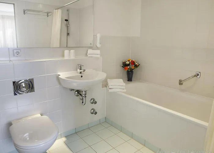 Ahorn Am Fichtelberg