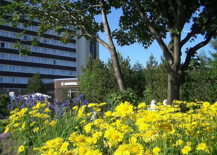 Ahorn Am Fichtelberg Oberwiesenthal
